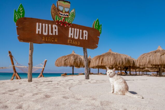 HULA HULA INSEL – Schnorcheltour in Hurghada