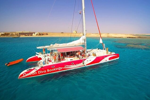 Ocean Diva Katamaran (Kleine Gruppe)